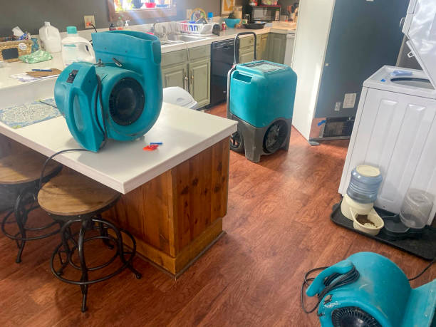 Best Water damage restoration near me  in Bon Secour, AL