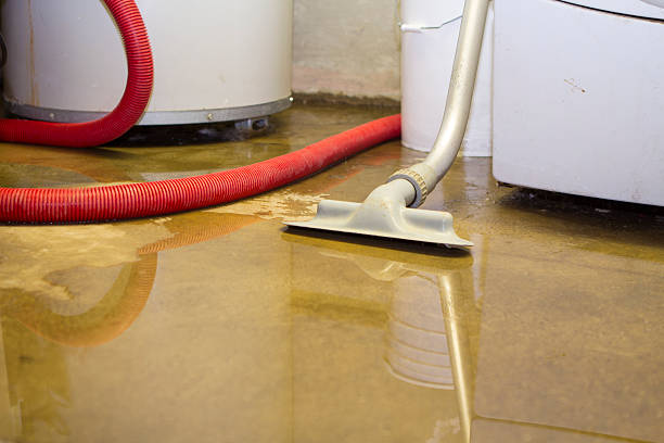 Best Professional water damage repair  in Bon Secour, AL