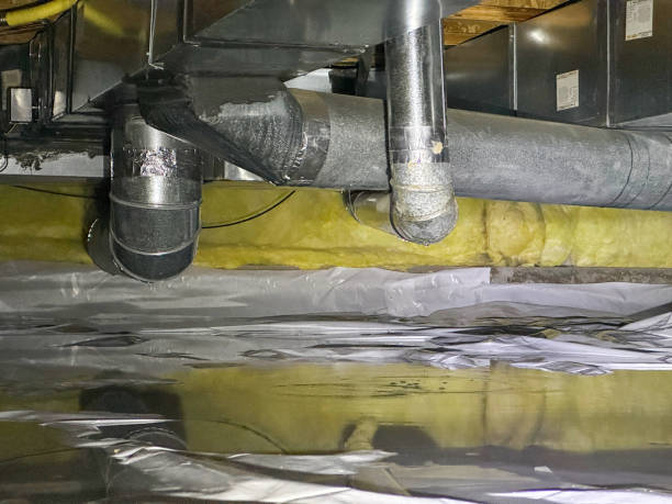 Best Carpet water damage restoration  in Bon Secour, AL